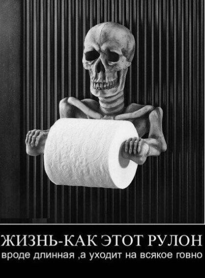 Жизнь как рулон туалетной бумаги