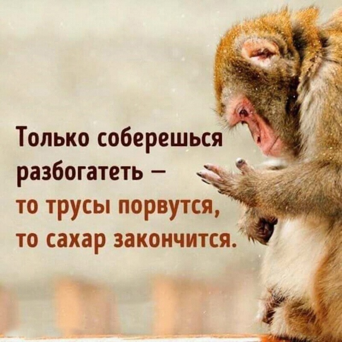 http://neteye.ru/uploads/images/00/00/01/2017/10/16/39bb79bca4.jpg