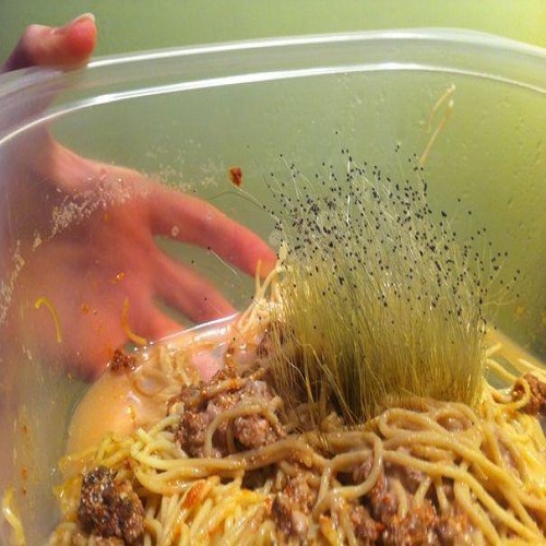 ����� ������ ����.