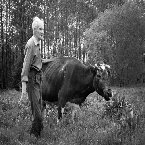 ������� ������