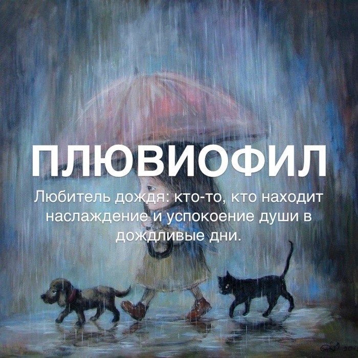 Плювиофил