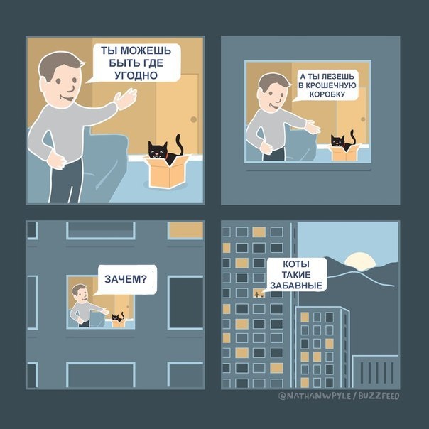 Коты такие забавные