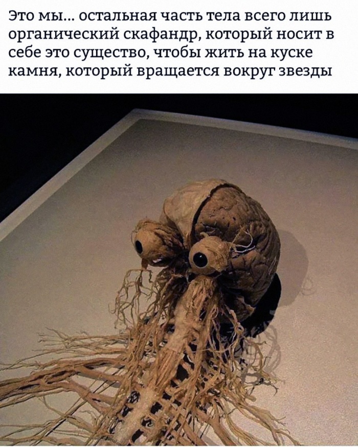 Человек