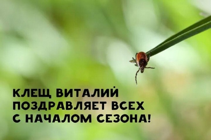 Клещ