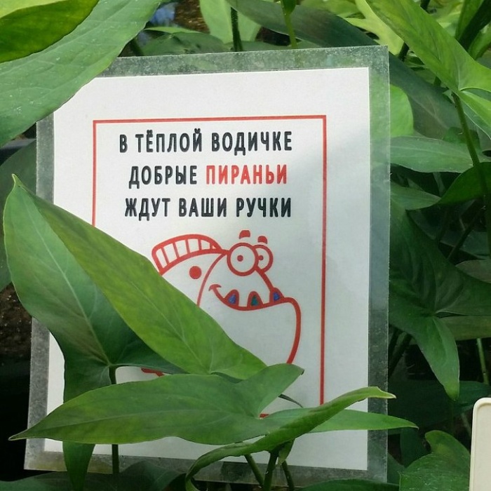 Добряки в зоопарке