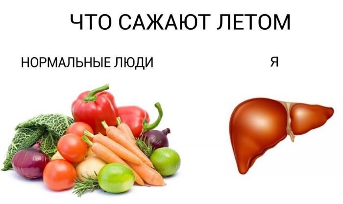 У всех свой огород