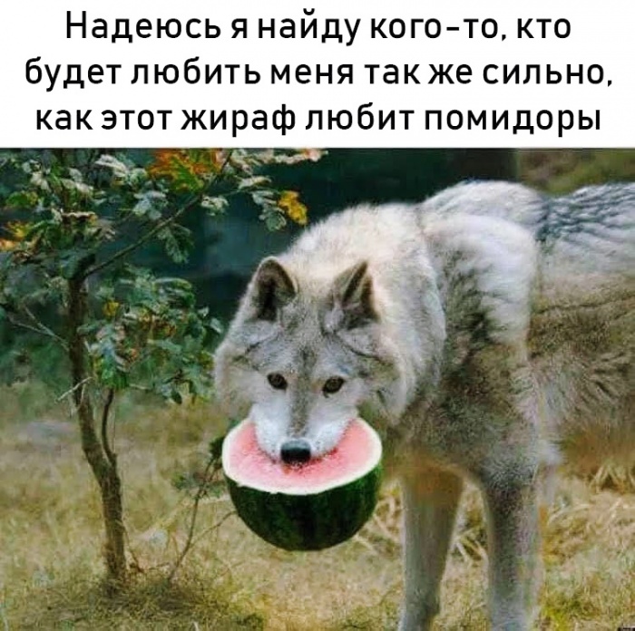 Немного наркоманского юмора