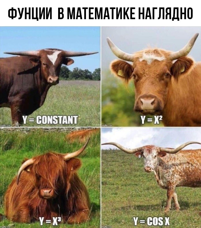 Математика наглядно