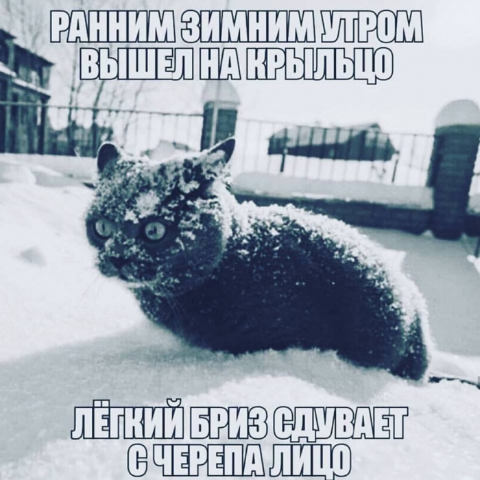 Погода сегодня
