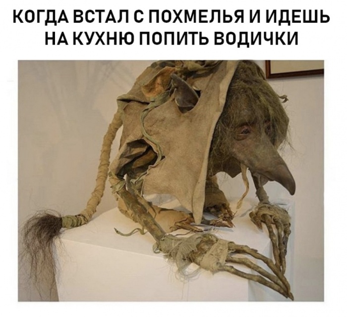 Похмелье