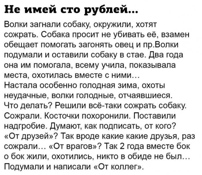 Коллеги