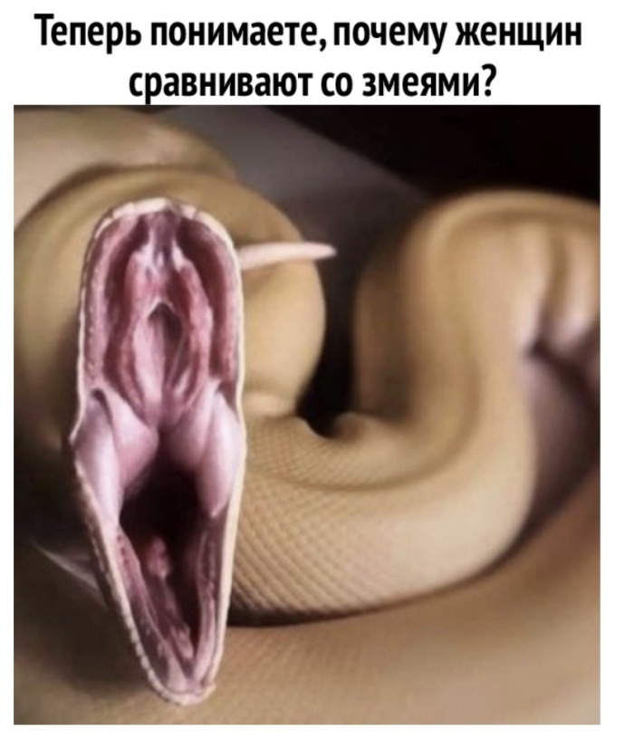 Женщины -змеи