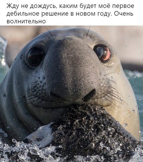 Очень волнительно