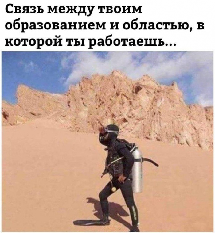 Связь работы с образованием