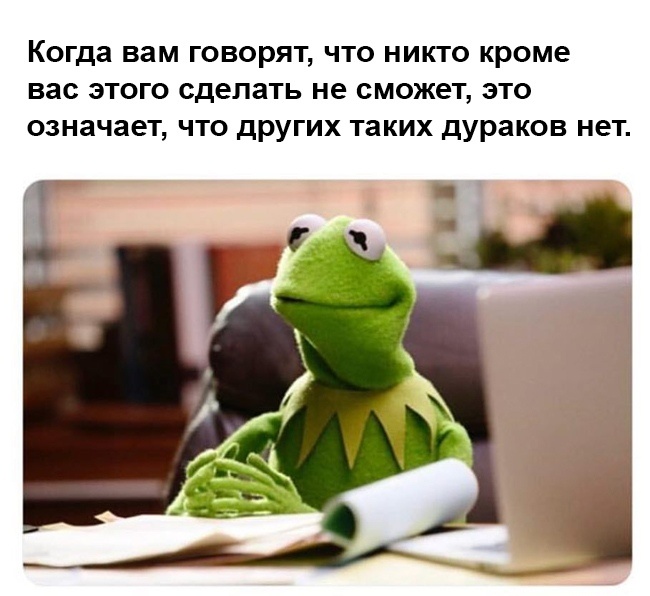 Совет дня