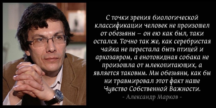 Человек все та же обезьяна