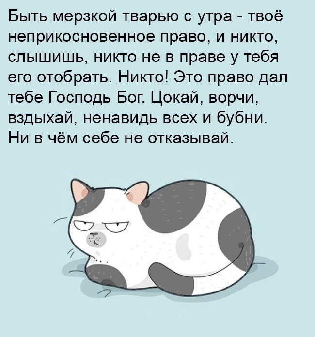 Твое право