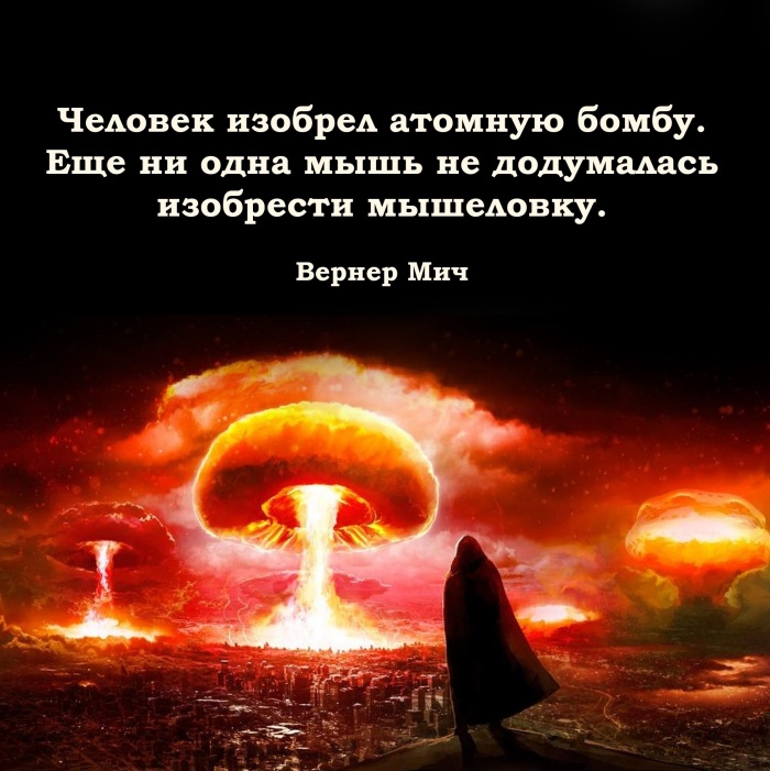 Еще ни одна мышь не изобрела мышеловку