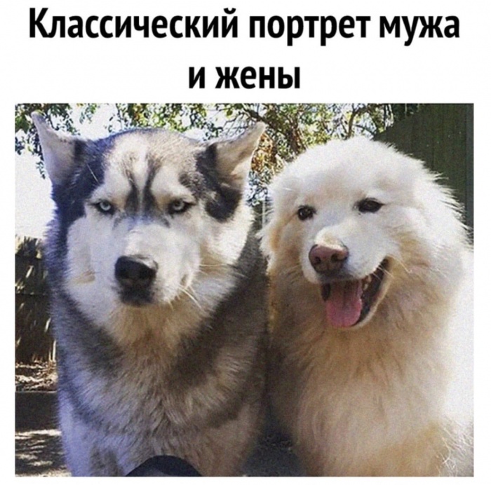 Классический портрет мужа и жены