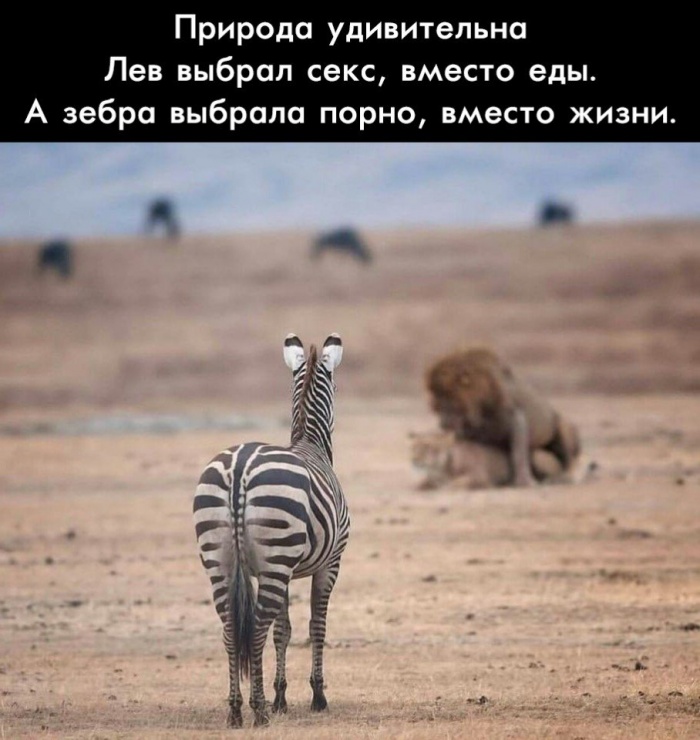 Природа удивительна
