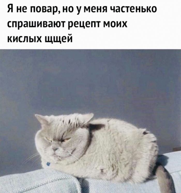 Кислые щи