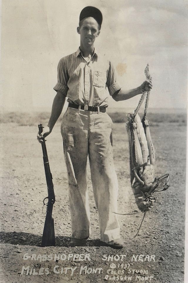 Саранча