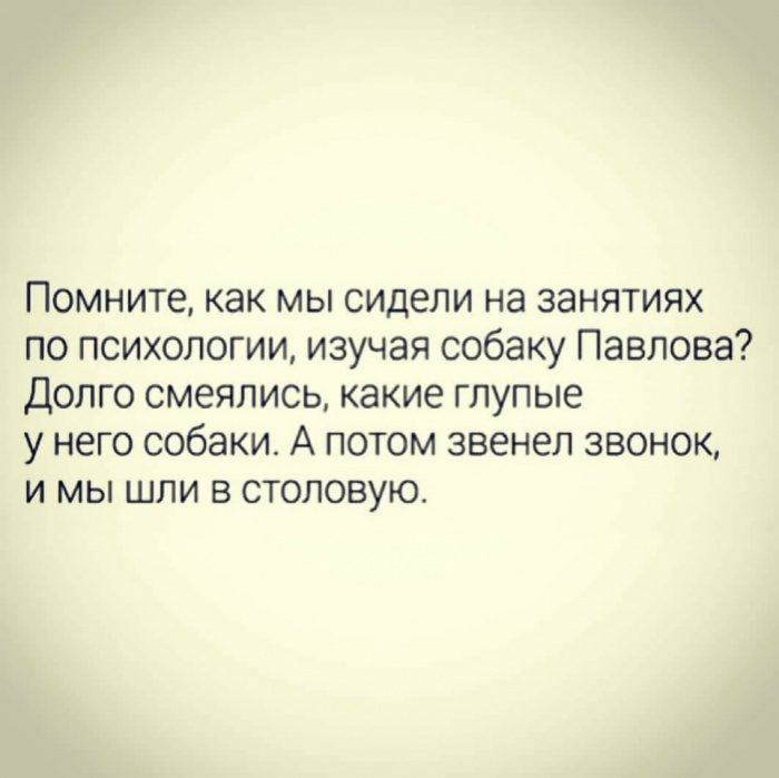 Какие глупые собаки