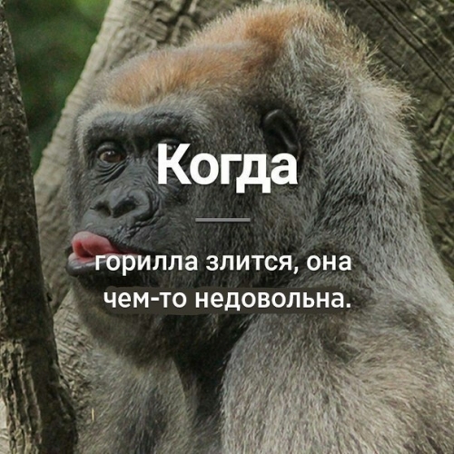 А Вы знали ?