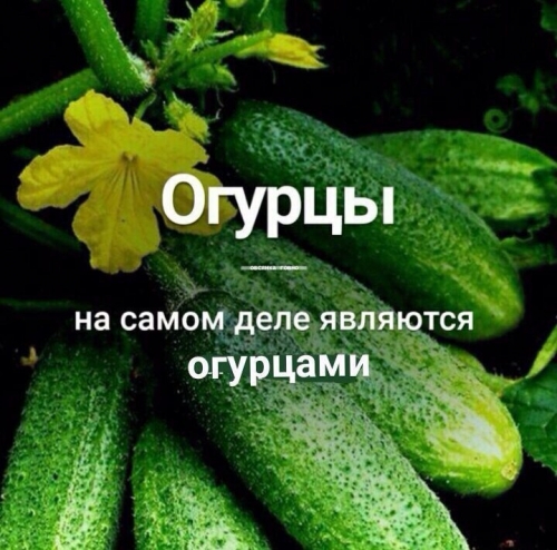 А Вы знали ?