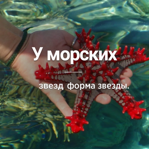А Вы знали ?