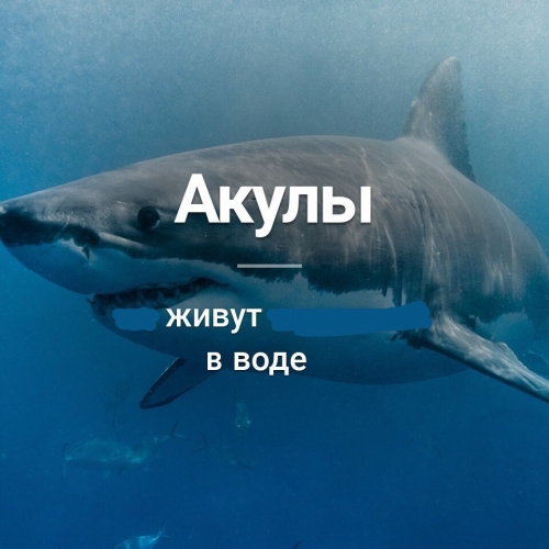 А Вы знали ?