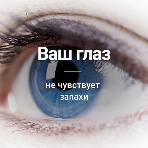 А Вы знали ?