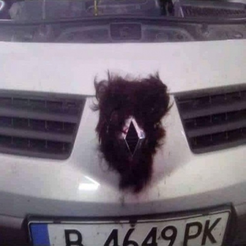 автолюбители поймут